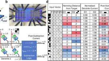 Un equipo construye un prototipo de computadora diseñado para hacer que la IA sea más eficiente