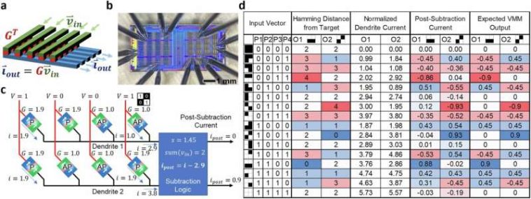 Un equipo construye un prototipo de computadora diseñado para hacer que la IA sea más eficiente