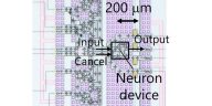 Un equipo desarrolla un dispositivo neuronal superconductor de alta velocidad y potencia ultrabaja
