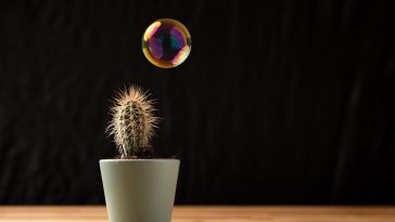 Acerca de esa 'burbuja de IA': Microsoft no ve ninguna.