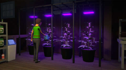 El creador del Programa 1 consideró convertirlo en un simulador agrícola