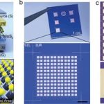 Matrices escalables de memtransistores de dicalcogenuro de metales de transición para redes neuronales artificiales energéticamente eficientes