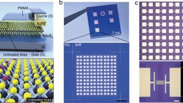Matrices escalables de memtransistores de dicalcogenuro de metales de transición para redes neuronales artificiales energéticamente eficientes