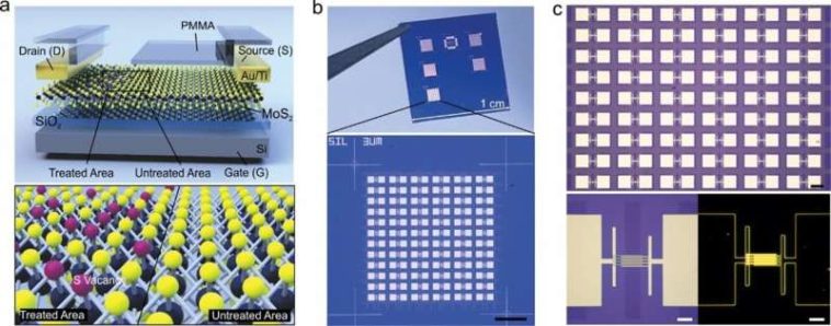 Matrices escalables de memtransistores de dicalcogenuro de metales de transición para redes neuronales artificiales energéticamente eficientes