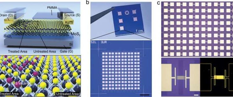 Matrices escalables de memtransistores de dicalcogenuro de metales de transición para redes neuronales artificiales energéticamente eficientes