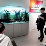 Acuario de la oficina de Mintrocket