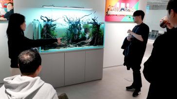 Acuario de la oficina de Mintrocket