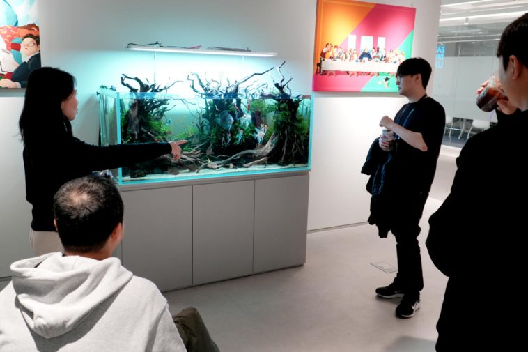 Acuario de la oficina de Mintrocket