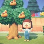 Animal Crossing: New Horizons Los jugadores se despiertan con una agradable sorpresa