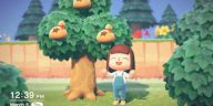Animal Crossing: New Horizons Los jugadores se despiertan con una agradable sorpresa