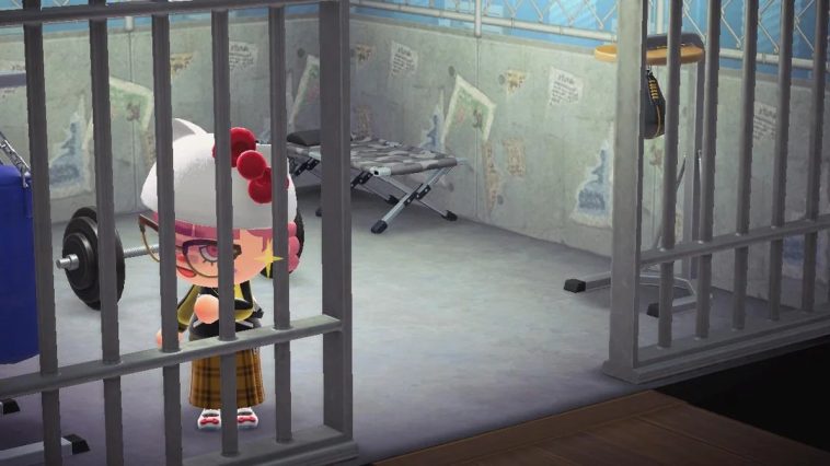 Mushy hacía 3 años y 7 meses que no visitaba su isla | Crédito: Mushy