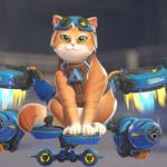 Los jugadores de Overwatch están encontrando formas tortuosas (y divertidas) de usar Jetpack Cat