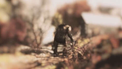 Se ha encontrado a Bigfoot y está en Fallout 76