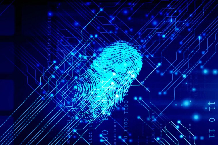 ¿Deberían los agentes de IA obtener identificaciones gubernamentales? Estonia dice que sí